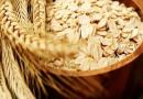 ZOB, Avena sativa L., Avenae herba recens-stramentum, Ovas, pir, silj, siljevina, Cultivated Oat, Avoine, Hafer, oves navadni, avs, zob, Avena