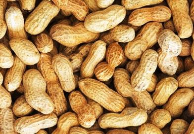 kikiriki, orasac, zemljin orasac