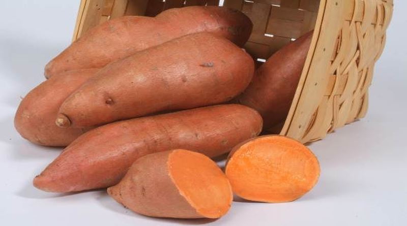 slatki-krompir-batat