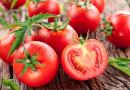 RAJČICA, Crveni patlidžan, paradajz, pomidor, tomat, tomato, Solanum liycopersicum